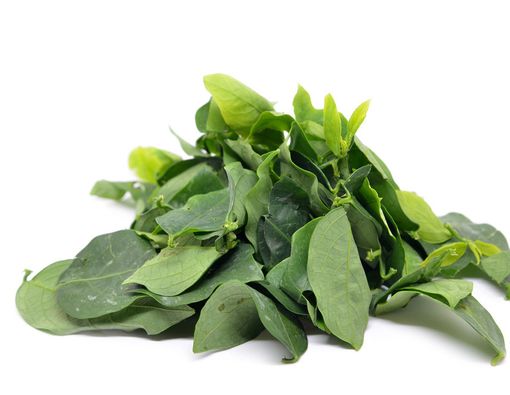 4 Bahan Alami untuk Perlancar Produksi ASI