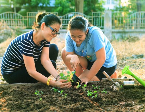 5 Hobi yang Bikin Mental Anda Lebih Sehat