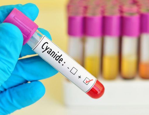 10 Gejala Keracunan Sianida