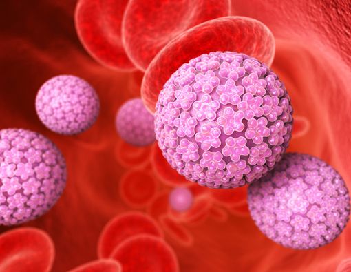 HPV dan Virus Corona Sama-Sama Berbahaya, Ini Perbandingannya