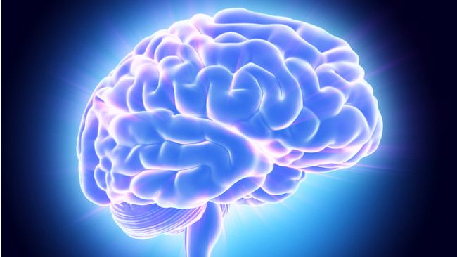 3 Kiat Mudah Optimalkan Kerja Otak
