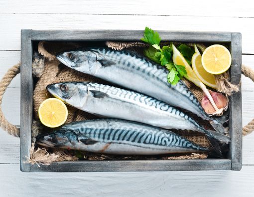 Jenis Ikan yang Perlu Dihindari Ibu Hamil