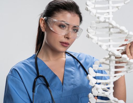 Benarkah DNA Babi Mirip DNA Manusia?