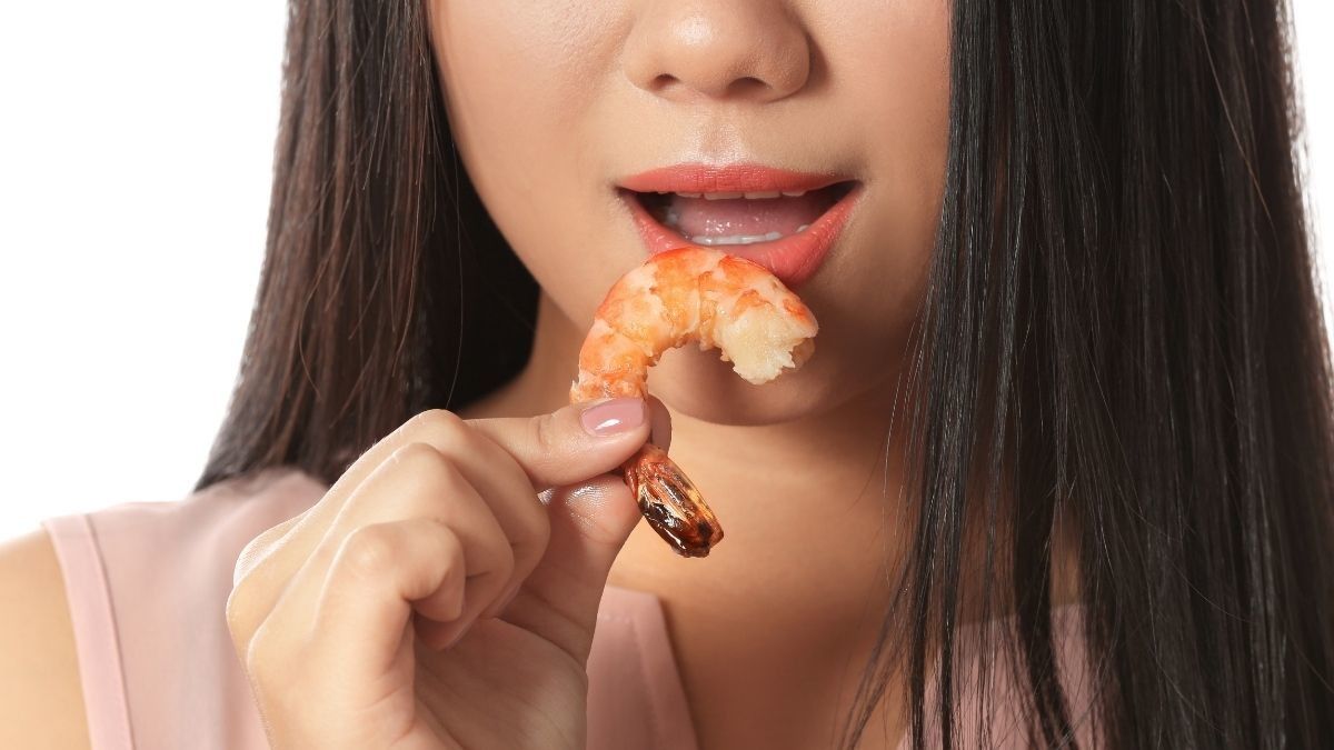 Manfaat Makan Udang Saat Masa Kehamilan