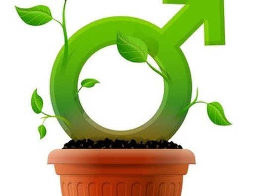 Mitos vs Fakta Tentang Ketidaksuburan Pria: Terungkap!