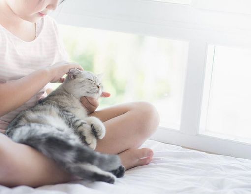 Anak Alergi Bulu, Tapi Ingin Piara Hewan?