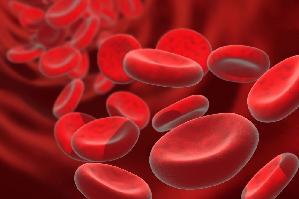 Benarkah Hipertensi Bisa Sebabkan Darah Kental? (Yakobchuk Vasyl/Shutterstock)