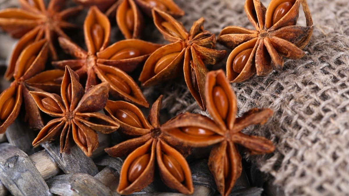 Manfaat Bunga Lawang untuk Kesehatan Tubuh Anda