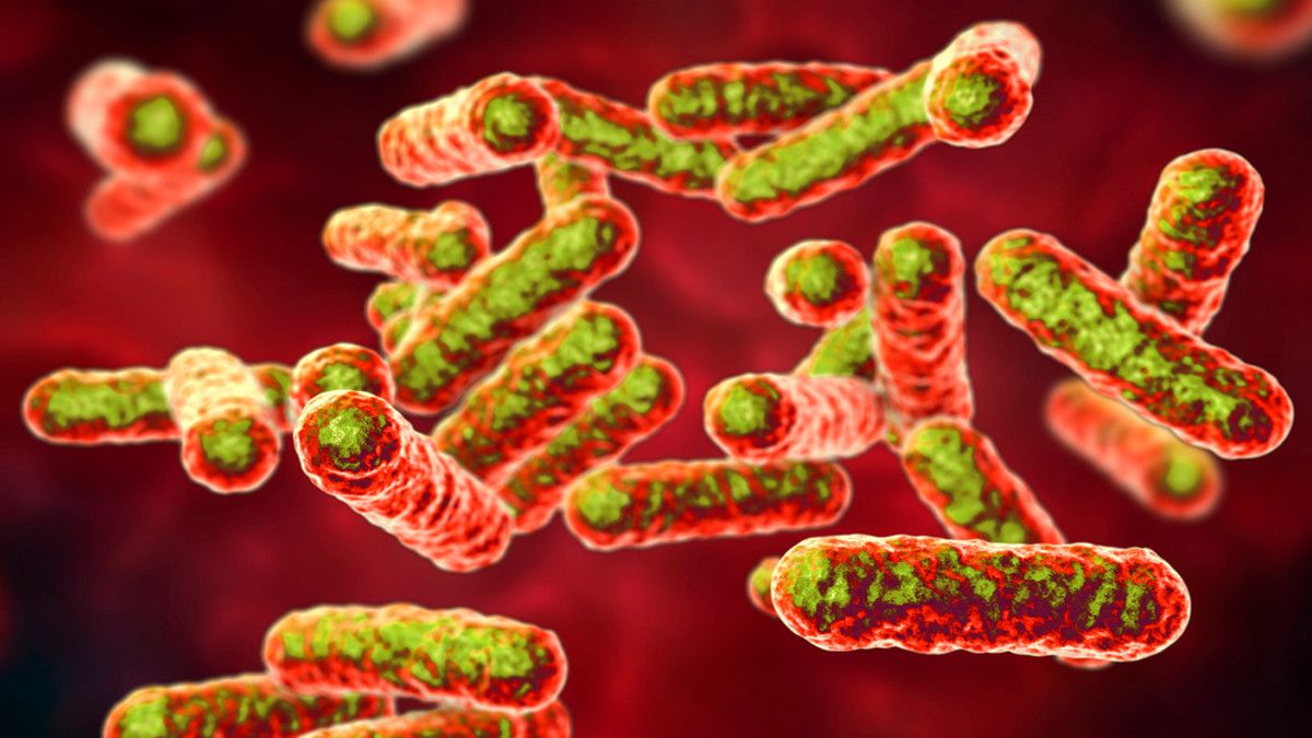 Demam Parit, Penyakit Zaman Perang Dunia I yang Kembali Muncul di AS