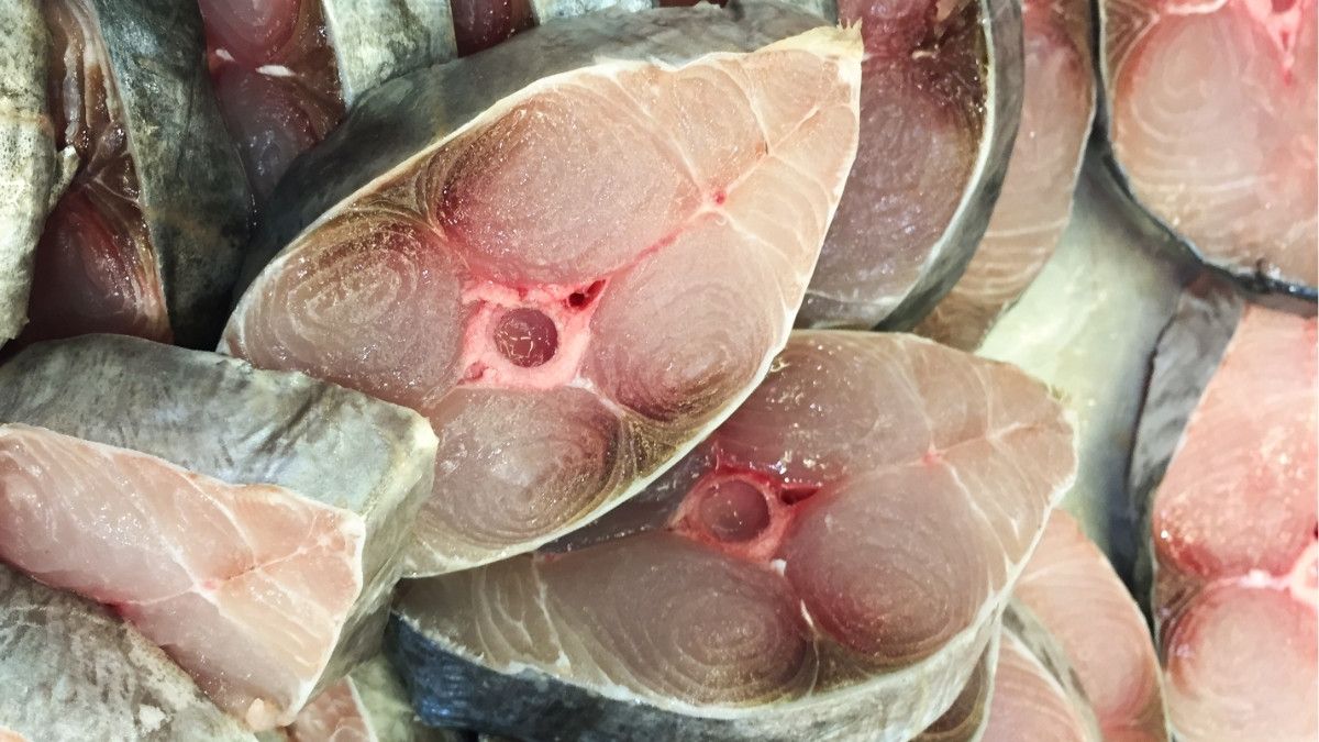Apa Efek Samping Makan Ikan Tongkol yang Tidak Segar?