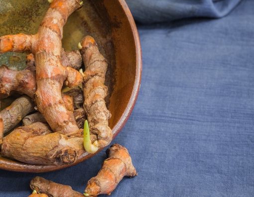 Khasiat Temulawak untuk Kesehatan Anak