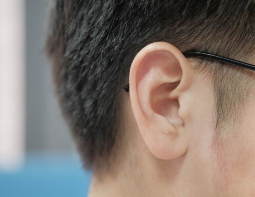 Pertolongan Pertama saat Telinga Kemasukan Serangga