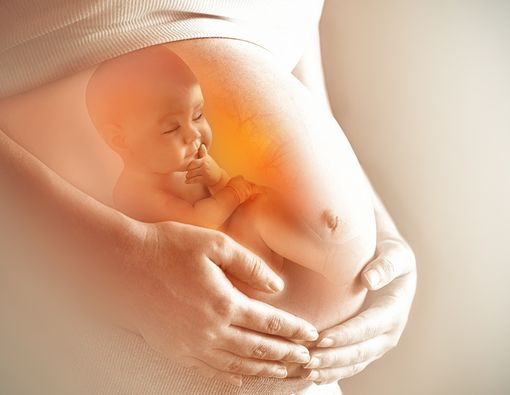 Bayi dalam Kandungan Ternyata Sudah Pintar Lho, Ini Faktanya!