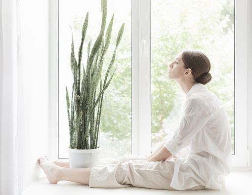 Ini Manfaat Memajang Tanaman Hias di dalam Rumah