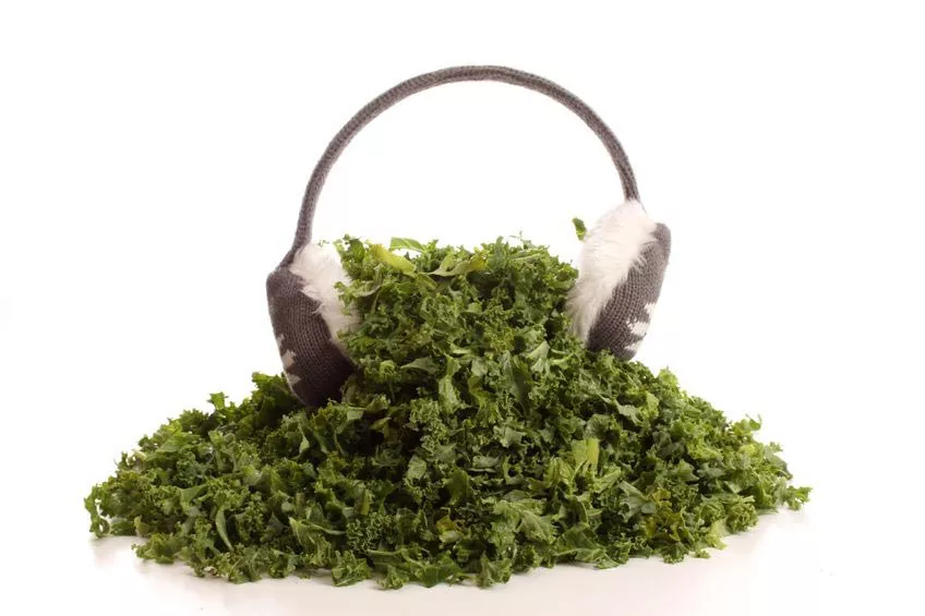 Kale, Sayur Favorit Selebriti Hollywood