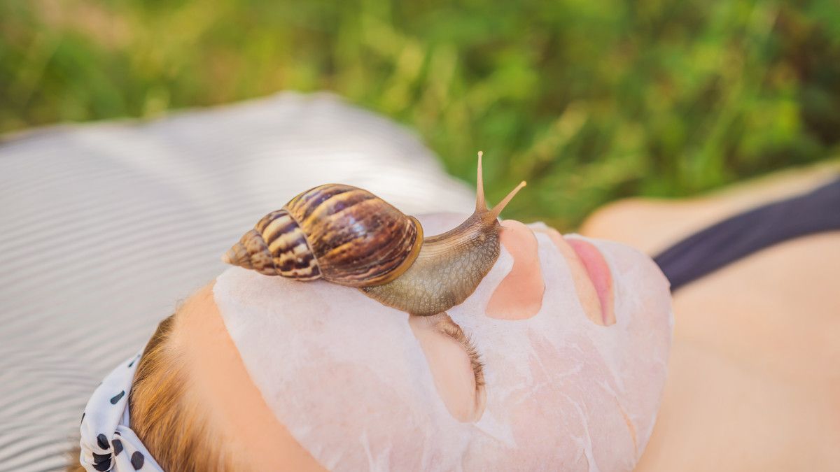 Manfaat Masker Lendir Siput untuk Kecantikan