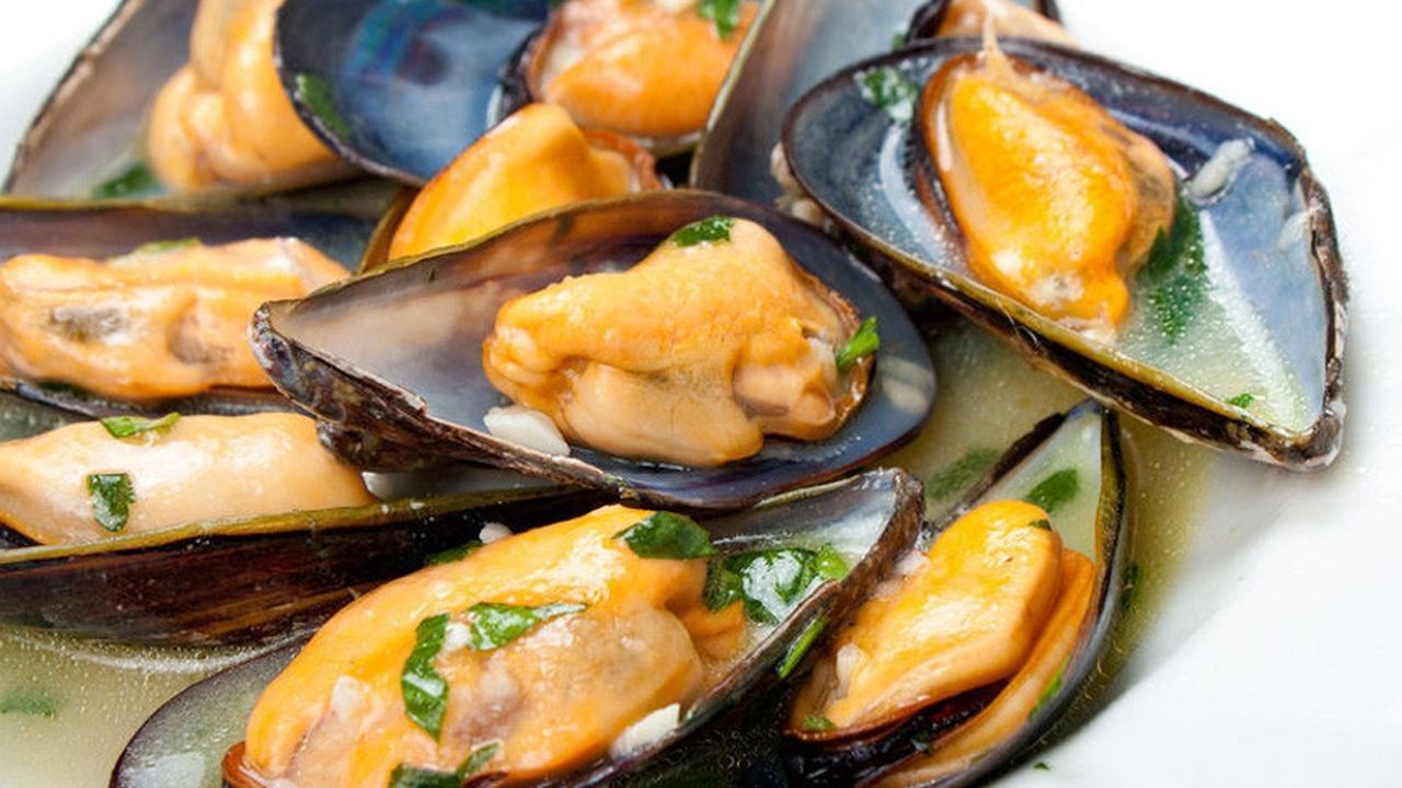 Kandungan Kerang Laut yang Tingkatkan Gairah