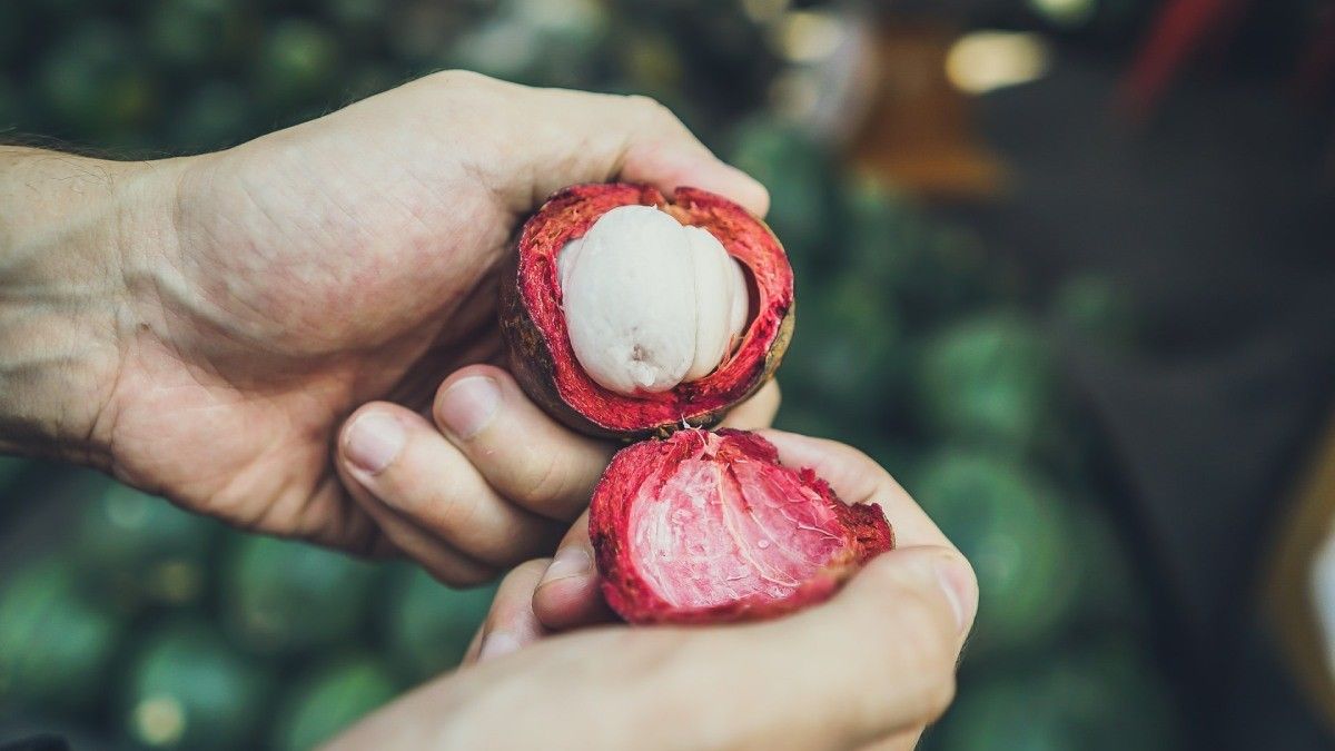 Benarkah Biji Buah Manggis Bisa Mengobati Penyakit?