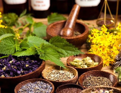 Rekomendasi Obat Mual Muntah Tradisional