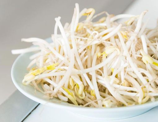 4 Manfaat Taoge yang Harus Anda Tahu