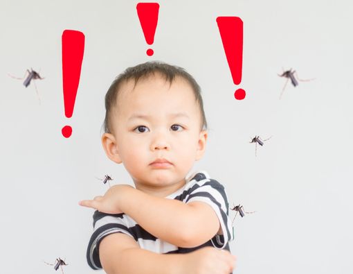 Cara Mudah Usir Nyamuk dari Rumah Anda