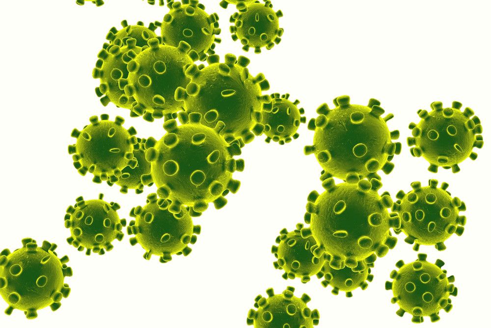 Mengenal Virus MERS Penyebab Flu Unta