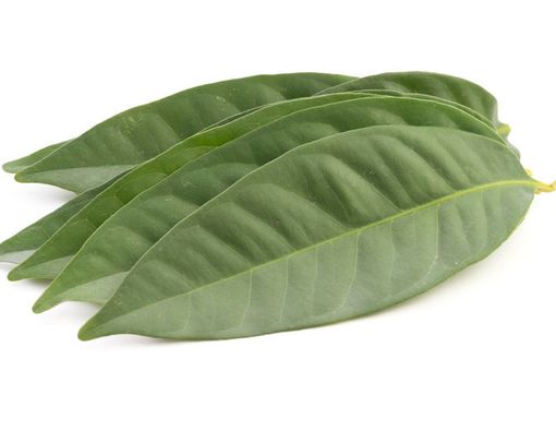 Rebusan Daun Salam bisa Turunkan Kolesterol?