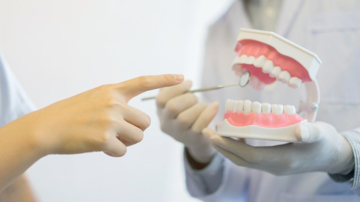 Mengenal Anatomi Gigi Manusia dan Fungsinya