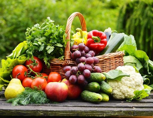 Sambut Asian Para Games, Ini Panduan Nutrisi untuk Para Atlet