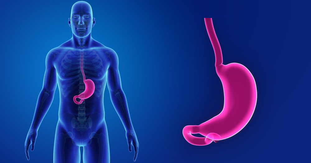 Porsi Makan Sedikit Bikin Perut Kecil?