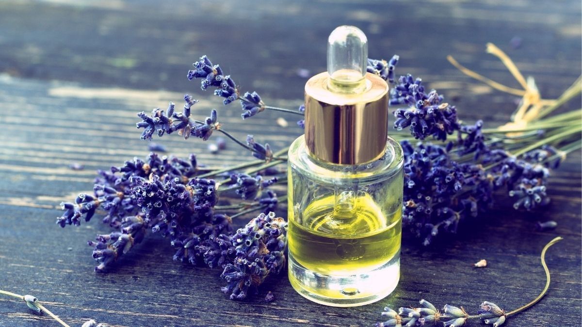 Beragam Manfaat Lavender Oil untuk Kulit