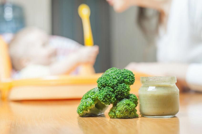 Panduan Membuat Makanan Bayi Sendiri
