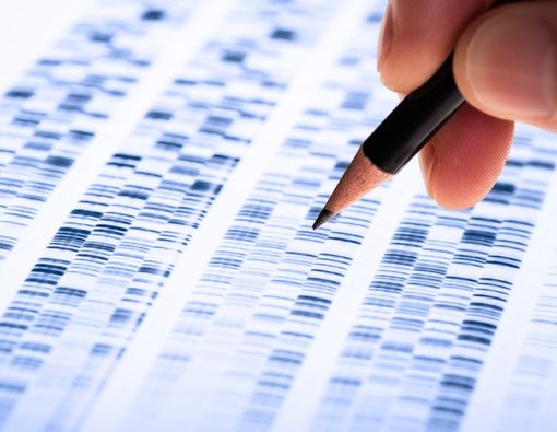 Sebesar Apa Pengaruh Faktor Keturunan pada Penyakit Jantung?