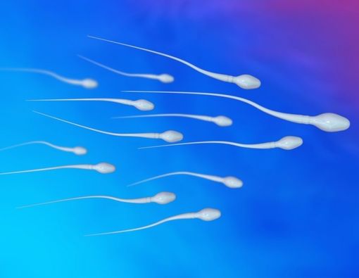 Cairan Sperma Mengandung Banyak Kalori dan Protein, Benarkah?