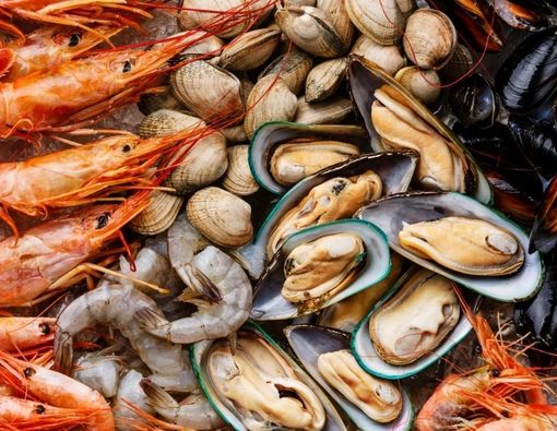 Daftar Seafood yang Baik untuk Tumbuh Kembang Otak Anak