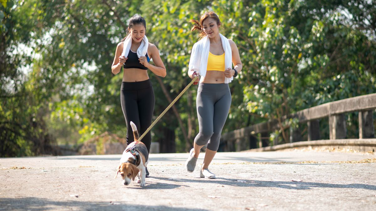 Cara Mengurangi Gonggongan Anjing yang Berlebihan