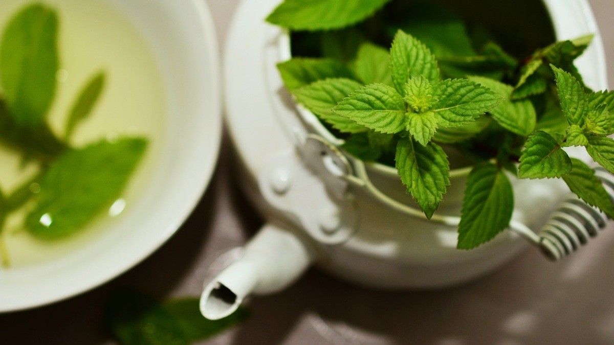 Waspada, Daun Mint Bisa Turunkan Gairah Seksual Anda!