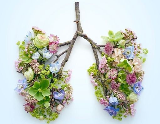 Cara Mengatasi Empiema atau Penumpukan Cairan Nanah di Paru-Paru