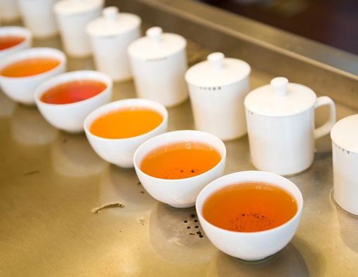 Kupas Tuntas Antioksidan pada Teh