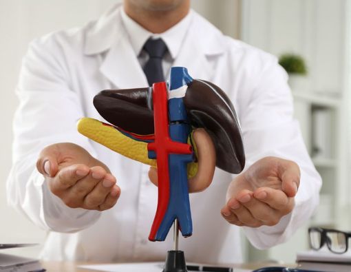 7 Jenis Tes Fungsi Hati untuk Mendeteksi Penyakit Hati