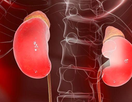 Penanganan untuk Mengatasi Ruptur Ginjal