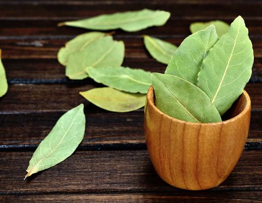 Khasiat Daun Salam untuk Kesehatan, Selain sebagai Bumbu Dapur