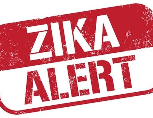 Begini Cara Mendeteksi Virus Zika