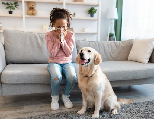 Waspada, Batuk Kennel pada Anjing Dapat Menular ke Manusia