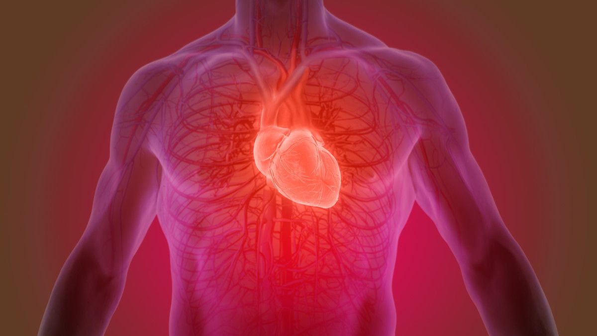 4 Penyakit yang Berhubungan dengan Jantung