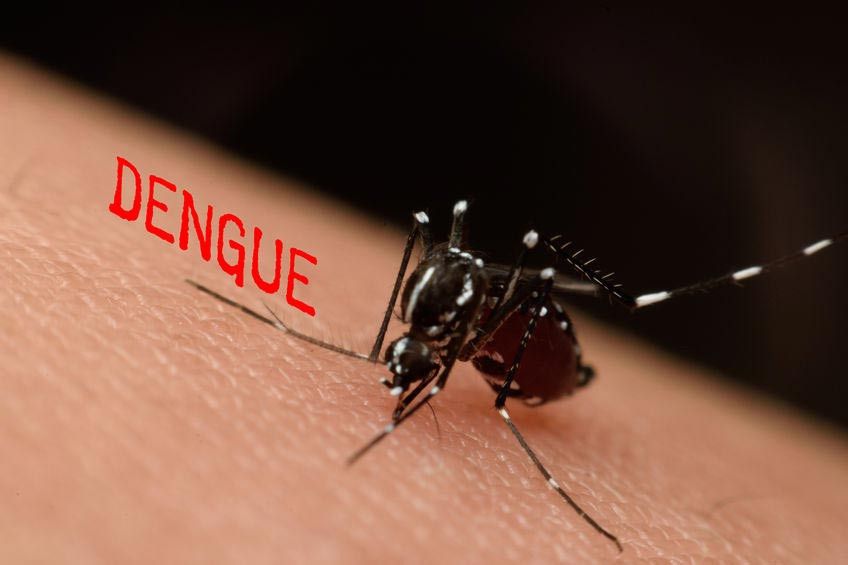 Infeksi Dengue Akibat Perubahan Iklim Global