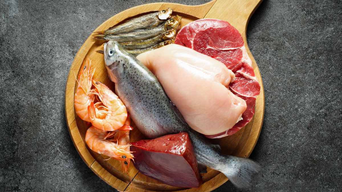Jenis-Jenis Protein Berdasarkan Sumbernya