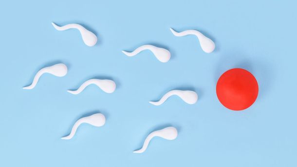 8 Ciri Sperma yang Sehat untuk Mempercepat Kehamilan
