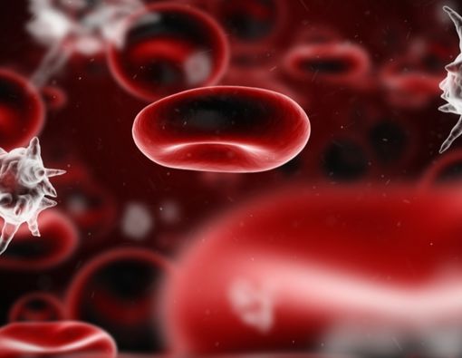 Mengapa Pengidap Pneumonia Berisiko Mengalami Sepsis?