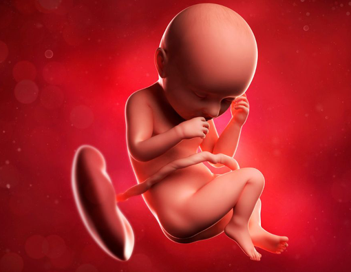 Serba-Serbi Plasenta yang Harus Diketahui Ibu Hamil